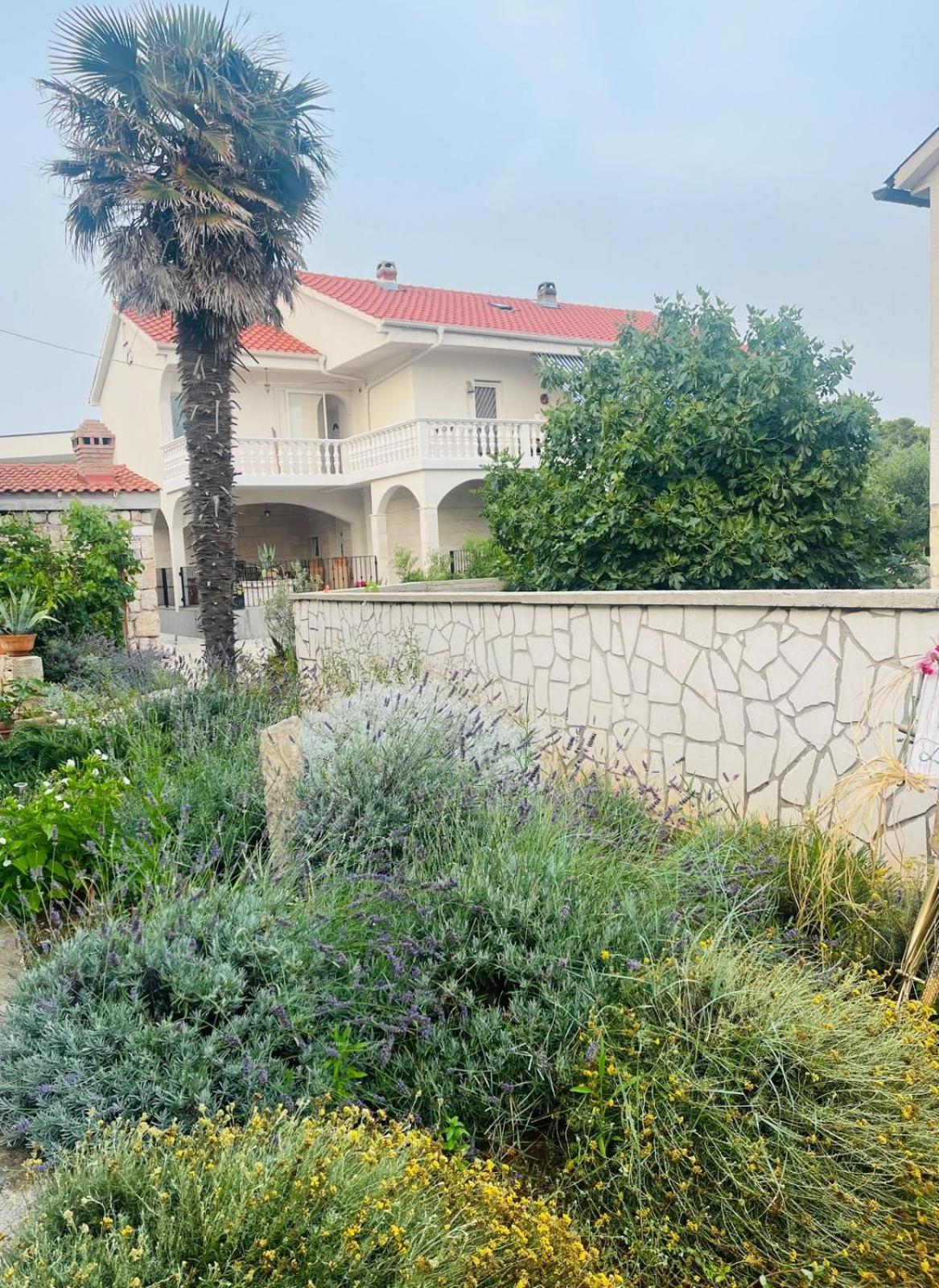 Daniela Apartamento Vir